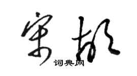 駱恆光宋胡草書個性簽名怎么寫