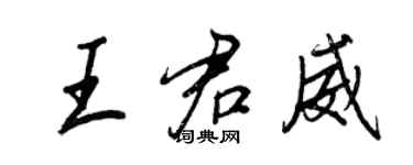 王正良王君威行書個性簽名怎么寫