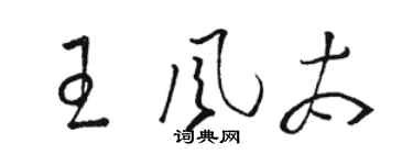 駱恆光王風太草書個性簽名怎么寫