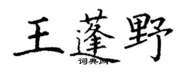 丁謙王蓬野楷書個性簽名怎么寫
