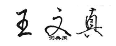 駱恆光王文真行書個性簽名怎么寫