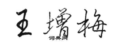 駱恆光王增梅行書個性簽名怎么寫