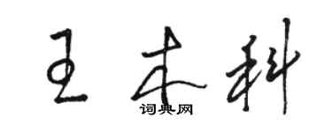 駱恆光王木科草書個性簽名怎么寫