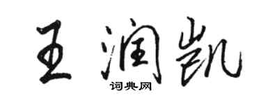 駱恆光王潤凱行書個性簽名怎么寫