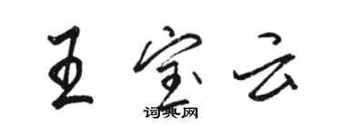 駱恆光王寶雲行書個性簽名怎么寫