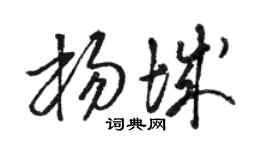 駱恆光楊城草書個性簽名怎么寫