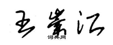 朱錫榮王崇江草書個性簽名怎么寫