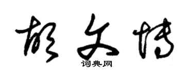 朱錫榮胡文博草書個性簽名怎么寫