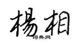 王正良楊相行書個性簽名怎么寫