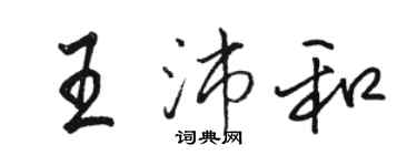 駱恆光王沛和行書個性簽名怎么寫