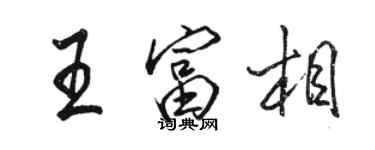 駱恆光王富相行書個性簽名怎么寫