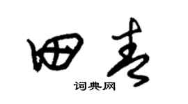 朱錫榮田青草書個性簽名怎么寫