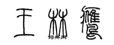 陳墨王林鷹篆書個性簽名怎么寫