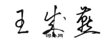 駱恆光王成燕草書個性簽名怎么寫