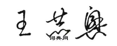 駱恆光王赫興草書個性簽名怎么寫