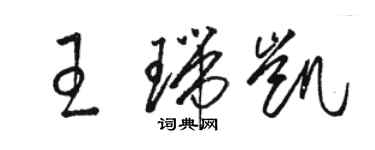 駱恆光王瑞凱草書個性簽名怎么寫