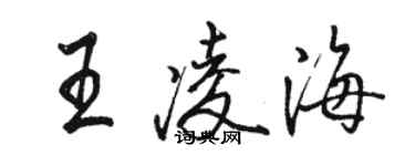 駱恆光王凌海行書個性簽名怎么寫