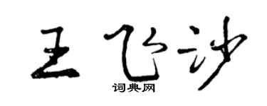 曾慶福王飛沙行書個性簽名怎么寫
