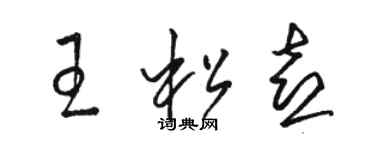 駱恆光王松喜草書個性簽名怎么寫