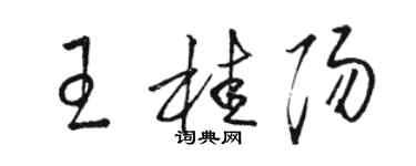 駱恆光王桂陽草書個性簽名怎么寫