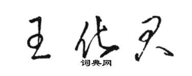 駱恆光王化君草書個性簽名怎么寫