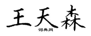 丁謙王天森楷書個性簽名怎么寫