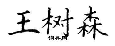 丁謙王樹森楷書個性簽名怎么寫