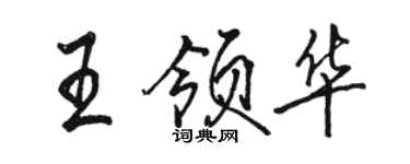 駱恆光王領華行書個性簽名怎么寫