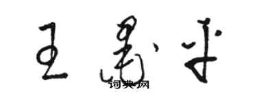 駱恆光王墨平草書個性簽名怎么寫