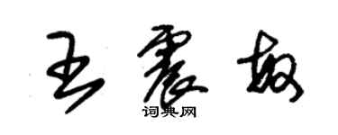 朱錫榮王震敏草書個性簽名怎么寫