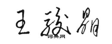 駱恆光王駿晶草書個性簽名怎么寫