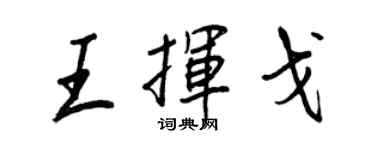 王正良王揮戈行書個性簽名怎么寫
