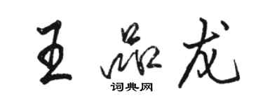 駱恆光王品龍行書個性簽名怎么寫