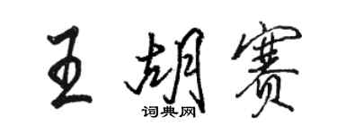 駱恆光王胡賽行書個性簽名怎么寫