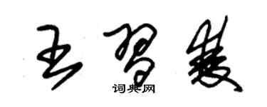 朱錫榮王習雙草書個性簽名怎么寫