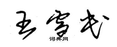 朱錫榮王雪民草書個性簽名怎么寫