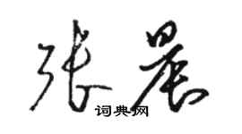 駱恆光張晨草書個性簽名怎么寫