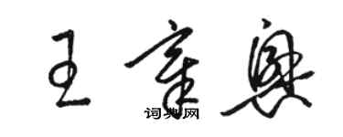 駱恆光王章興草書個性簽名怎么寫