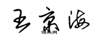 朱錫榮王京海草書個性簽名怎么寫