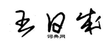 朱錫榮王日成草書個性簽名怎么寫