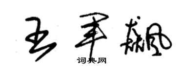 朱錫榮王軍飈草書個性簽名怎么寫
