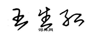 朱錫榮王生紅草書個性簽名怎么寫