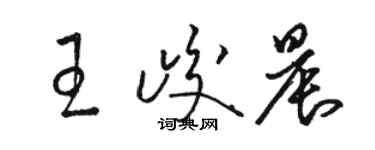 駱恆光王峻晨草書個性簽名怎么寫