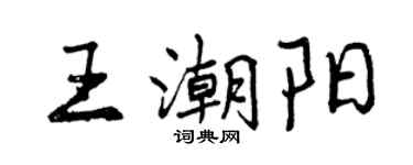 曾慶福王潮陽行書個性簽名怎么寫