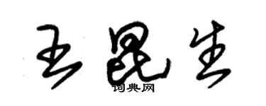 朱錫榮王昆生草書個性簽名怎么寫