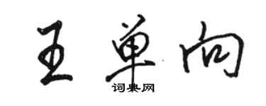 駱恆光王單向行書個性簽名怎么寫