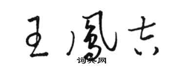 駱恆光王鳳吉草書個性簽名怎么寫