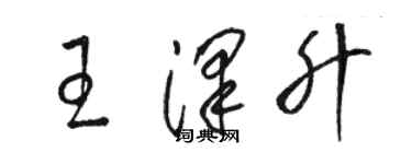 駱恆光王澤升草書個性簽名怎么寫