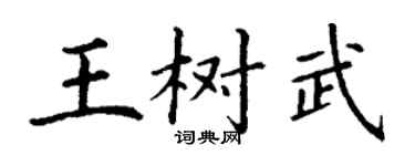 丁謙王樹武楷書個性簽名怎么寫