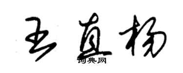 朱錫榮王直楊草書個性簽名怎么寫